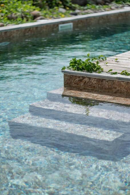 T3 Lumineux Avec Vue Exceptionnelle Et Piscine Oasis De Nature Et Serenite Petit-Canal Exterior photo